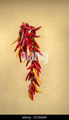 Getrocknete Paprika auf einem Faden Stockfoto