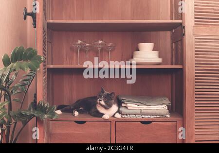 Küchenschrank mit Tellern, Tischdecken und Gläsern Stockfoto