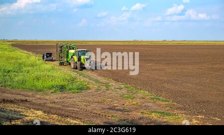 Giurgiu, Rumänien - August 29, 2018. Landwirtschaft grünen Traktor säen und pflegen Feld am späten Nachmittag Stockfoto