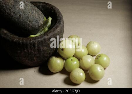 Schönes Grün in Indischer Stachelbeere in Kerala Stockfoto