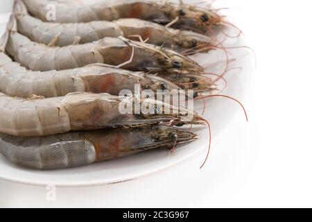 Frische Garnelen/Garnelen Stockfoto
