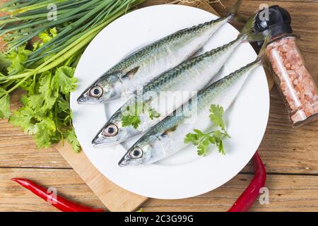 Makrele roh mit Gewürzen Stockfoto