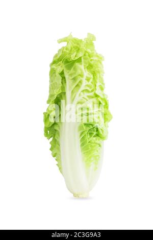 Chinakohl auf dem weißen Hintergrund isoliert. Stockfoto