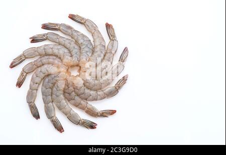 Frische Garnelen/Garnelen Stockfoto