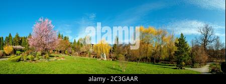 Landschaftsdesign von Luxus-Hausgarten. Malerischer Blick auf den gepflegten Garten im Hof. Landschaftsgestaltung mit Pflanzen und Blumen in einem privaten Stockfoto