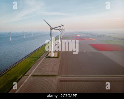 Drohne fliegt über Windmühle Farm mit bunten Tulpenfeldern in der Noordoostpolder niederlande, Green Energy Windmühle Turbine an Stockfoto