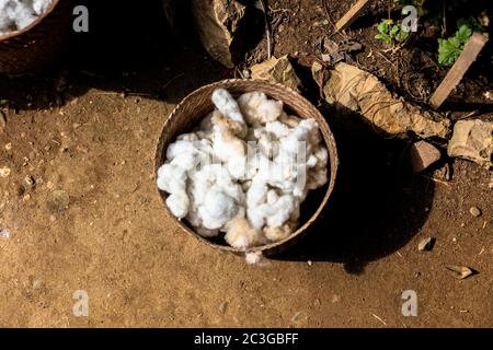 Frisch gescherte Schafwolle Flocken im Eimer Stockfoto