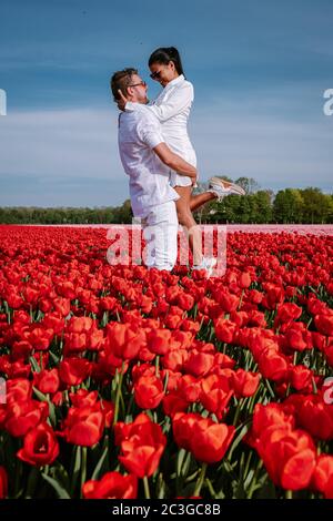 Tulpenblüten von der ehemaligen Insel Schokland Niederlande, rote Tulpen während der Frühjahrssaison in den Niederlanden Europa Stockfoto