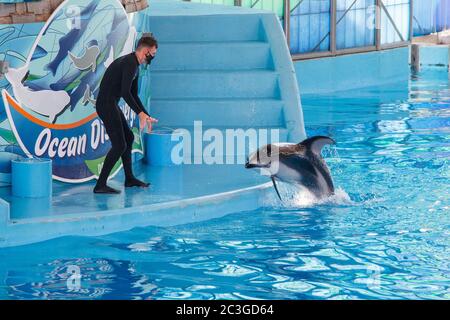 San Antonio, USA. Juni 2020. Ein Delphin Trainer mit Gesichtsmaske tritt am 19. Juni 2020 in SeaWorld San Antonio in Texas, USA, auf. Der berühmte Freizeitpark in San Antonio wurde am Freitag wieder für die Öffentlichkeit geöffnet. Kredit: Lie Ma/Xinhua/Alamy Live Nachrichten Stockfoto