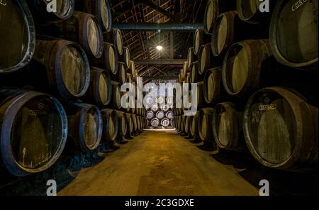 PORTO, Portugal, 19. Juni 2018: Port Wine barrels in Graham's Port Lodge, Vila Nova de Gaia, Porto, Portugal Stockfoto