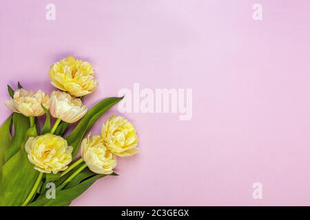 Blumenstrauß von Hyazinthe Blumen. Stockfoto