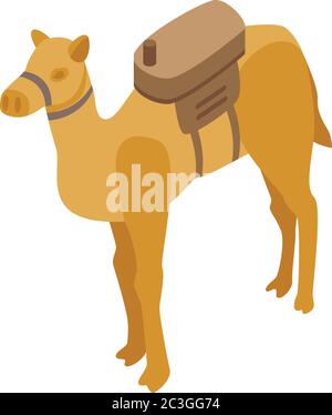 Ägypten Kamel Ikone, isometrischer Stil Stock Vektor