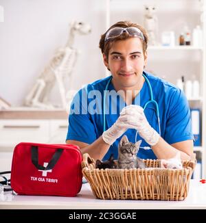 Tierarzt Arzt Kätzchen Prüfung in Animal Hospital Stockfoto