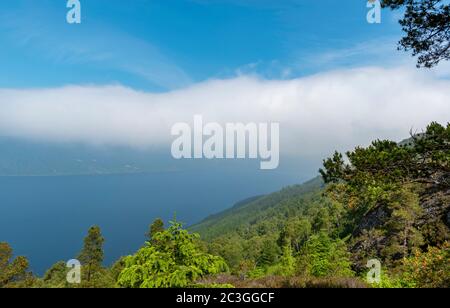 BLICK AUF LOCH NESS SCHOTTLAND VON DEN BLONDEN JUNGS PASSIEREN DEN LOCH MIT EINEM MORGENNEBEL UND NIEDRIGEN WOLKEN IM SOMMER Stockfoto