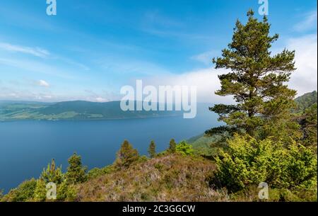 BLICK AUF LOCH NESS SCHOTTLAND VON DEN BLONDEN JUNGS, DIE IM SOMMER MIT EINEM MORGENNEBEL ÜBER DEN LOCH FAHREN Stockfoto