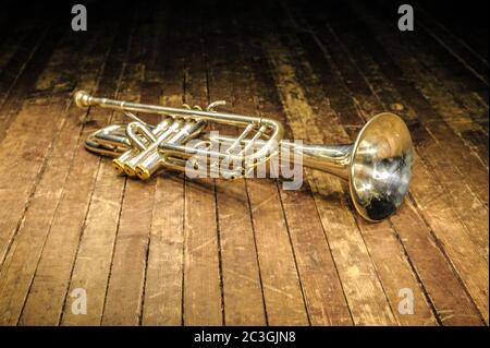 Weiße Blasentrompete liegt im Dunkeln auf einer Holzbühne Stockfoto