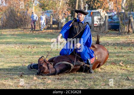 Ungarische Csikos Reiter in traditioneller Tracht Stockfoto