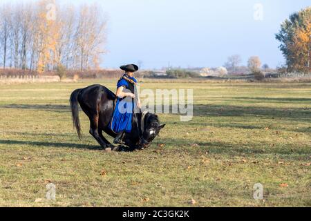 Ungarische Csikos Reiter in traditioneller Tracht Stockfoto