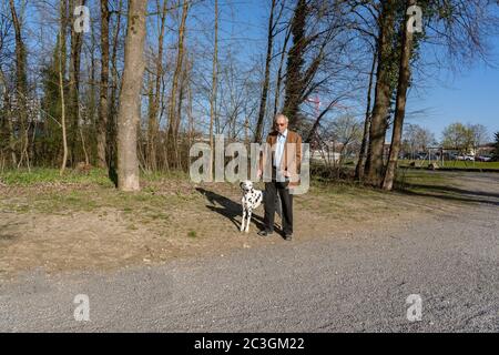 Alter Mann auf seinem Abendspaziergang mit seinem dalmatinischen Hund in Sonnenschein. Wald von Abendsonne beleuchtet. Mann und Hund schauen zur Kamera. Stockfoto