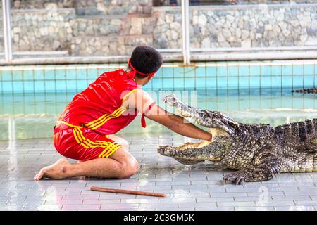 Krokodilshow in Pattaya, Thailand an einem Sommertag Stockfoto