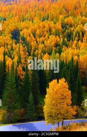 Xinjiang kanas acaroid Dorf Landschaft Stockfoto