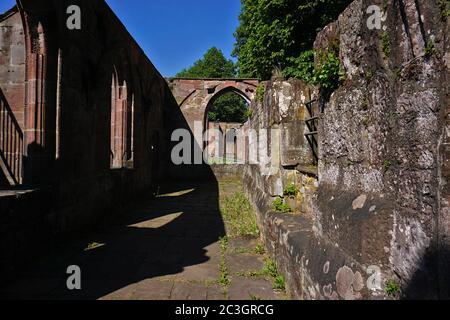 Kloster Hirsau, Mauern der Ruinen und Kreuzgang, Schwarzwald, deutschland Stockfoto