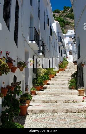 Blick auf eine schmale, steile Gasse in der liebenswerten, hübschen weißen Kleinstadt Frigiliana, in Andalusien, Südspanien. Malerische Landschaft mit schönen Stockfoto