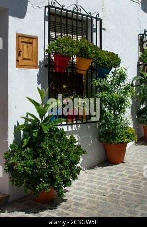 Das charmante kleine weiße Dorf Frigiliana in Südspanien. Schöne Blumen in Töpfen von einem traditionellen Dorfhaus an einem Sommertag. Typica Stockfoto