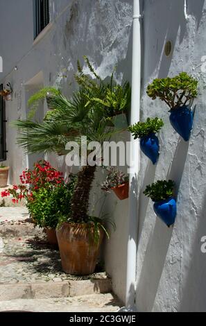 Blick auf eine schmale Straße in der liebenswerten, hübschen kleinen weißen Stadt Frigiliana, in Andalusien, Südspanien. Blumen und Pflanzen in farbenfroher Keramik Stockfoto