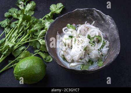 Traditionelle peruanische Gourmet-Ceviche sehen Sie Bass-Filetstück mit Zwiebelringen und Koriander in Limettensaft als Nahaufnahme in einer modernen de Stockfoto