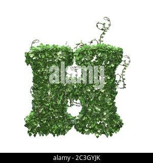 Buchstabe H aus grünen Efeu-Blättern - isoliert auf weißem Hintergrund - 3D-Illustration Stockfoto