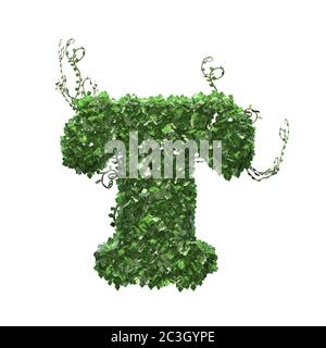 Buchstabe T aus grünen Efeu-Blättern - isoliert auf weißem Hintergrund - 3D-Illustration Stockfoto