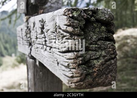 Nahaufnahme eines alten hölzernen Schildes, das mit Moosen bedeckt ist Ein Wald mit verschwommenem Hintergrund Stockfoto