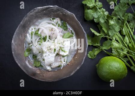 Traditionelle peruanische Gourmet-Ceviche siehe Bass-Filetstück mit Zwiebelringen und Koriander in Limettensaft als Draufsicht in einem modernen d Stockfoto