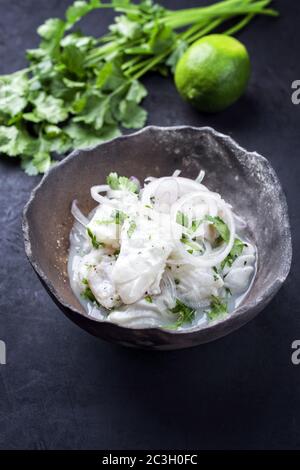 Traditionelle peruanische Gourmet-Ceviche sehen Sie Bass-Filetstück mit Zwiebelringen und Koriander in Limettensaft als Nahaufnahme in einer modernen de Stockfoto
