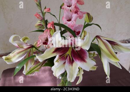 Bouquet de lys Zambési et glaïeuls Wein und Rosen Stockfoto