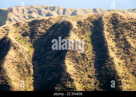 Erodierte Hügel auf marginalem Ackerland in der Nähe von Battle Hill Regional Park, in der Nähe von Pauatahanui, Porirua, Wellington, Nordinsel, Neuseeland Stockfoto