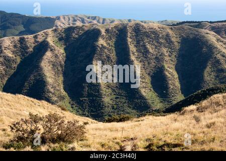 Erodierte Hügel auf marginalem Ackerland in der Nähe von Battle Hill Regional Park, in der Nähe von Pauatahanui, Porirua, Wellington, Nordinsel, Neuseeland Stockfoto