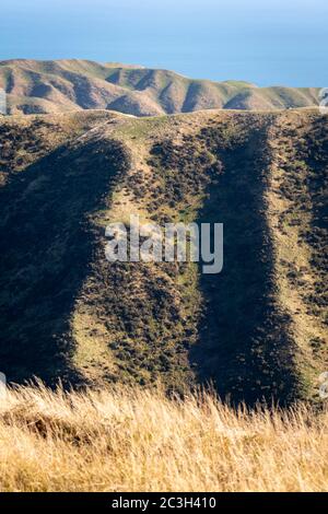 Erodierte Hügel auf marginalem Ackerland in der Nähe von Battle Hill Regional Park, in der Nähe von Pauatahanui, Porirua, Wellington, Nordinsel, Neuseeland Stockfoto