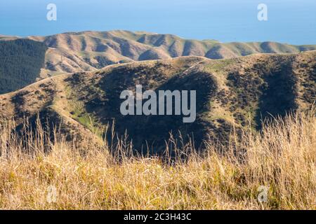 Erodierte Hügel auf marginalem Ackerland in der Nähe von Battle Hill Regional Park, in der Nähe von Pauatahanui, Porirua, Wellington, Nordinsel, Neuseeland Stockfoto