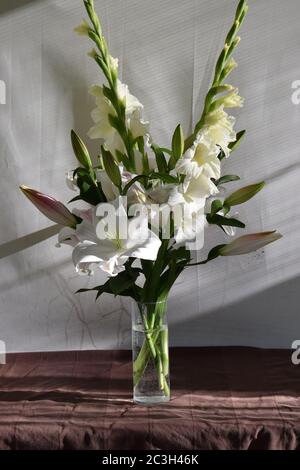 Bouquet de lys Zambési et glaïeuls Weißer Wohlstand Stockfoto