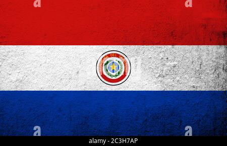 Nationalflaggen der Republik Paraguay . Grunge Hintergrund Stockfoto