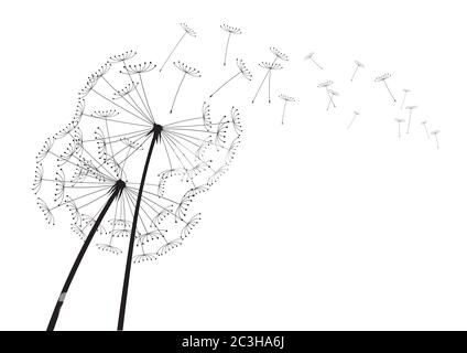 Löwenzahn Zusammensetzung. Vektorgrafik. EPS-Datei. Stock Vektor