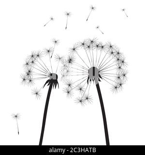 Löwenzahn Zusammensetzung. Vektorgrafik. EPS-Datei. Stock Vektor