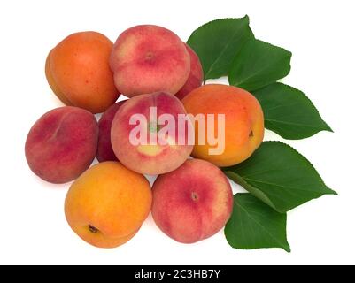 Frische Aprikosenfrüchte, Feigenpfirsiche und Blätter isoliert auf weißem Hintergrund Stockfoto