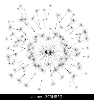 Löwenzahn Zusammensetzung. Vektorgrafik. EPS-Datei. Stock Vektor
