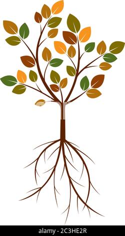 Herbstbaum und Wurzeln. Vektorgrafik. EPS-Datei. Stock Vektor