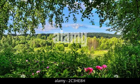 Blick durch die Bäume Laub und Blumen auf einer rustikalen sonnigen Sommerlandschaft mit dichten Wald auf Hügel im Hintergrund. Sonnenlicht und Schatten - Schönheit A Stockfoto