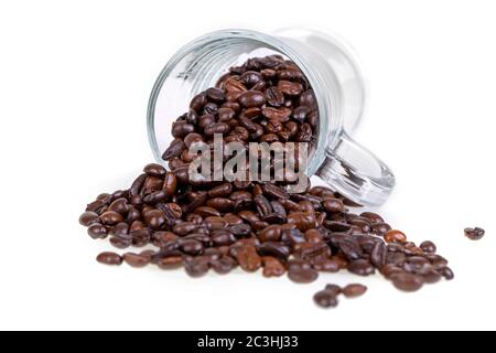 Satte glänzende Kaffeebohnen, die aus einem Glas-Kaffeebecher auf weißem Hintergrund verschüttet werden Stockfoto