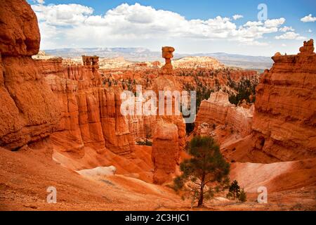Thor's Hammer und die Hoodoo-Felsformationen des Bryce Canyon, Utah, USA Stockfoto